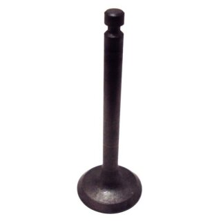 VALVE ,INTAKE