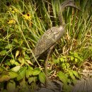 Gartendeko Figur: Bronzefigur Garten,    Graureiher, 53 cm hoch, original Rottenecker Objekt