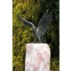 Bronzefigur Seeadler, 31 cm hoch