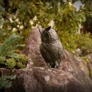 Gartendeko Figur: Bronzefigur Garten,  Waldohreule, 25 cm...