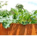 Hochbeet Metall: Hochbeet Edelrost 236x98cm Höhe 78cm  aus 1,5mm DC01-Stahl  rostig, Made in EU (Versand kostenfrei)*