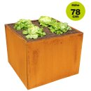 Hochbeet Metall: Hochbeet- Edelrost 118x118cm Höhe 78cm aus 1,5mm DC01-Stahl rostig, Made in EU (Versand kostenlos)
