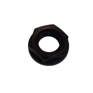 NUT, PINION