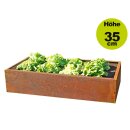 Beet Planus Edelrost 158x78cm Höhe 35cm  aus 1,5mm...