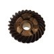 GEAR, FORWARD