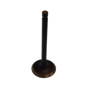 VALVE, INTAKE / Parsun Ersatzteil