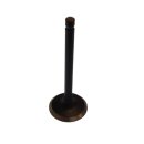 VALVE, INTAKE / Parsun Ersatzteil