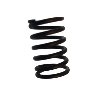 SPRING, VALVE / Parsun Ersatzteil