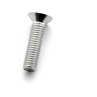 SCREW OVAL HEAD M5x20