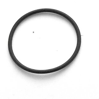 O-RING Wasserpumpengehäuse F2.6
