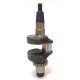 CRANK ASSY / Parsun Ersatzteil