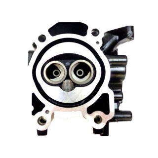 CYLINDER HEAD ASS'Y / Parsun Ersatzteil