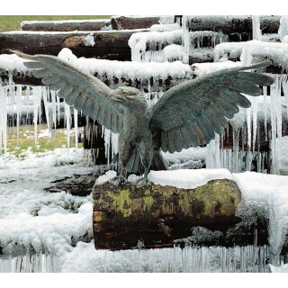 Gartendeko: Bronzefigur Adler  55 cm hoch / 133 cm Spannweite