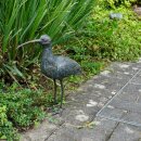 Bronzefigur für den Garten: Brachvogel 42 cm hoch