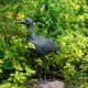 Bronzefigur für den Garten: Brachvogel 42 cm hoch