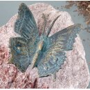 Schmetterling groß 7,5 x 7,5 cm