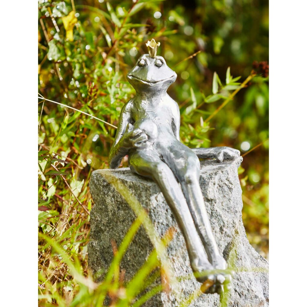Froschkönig Gunter, Aluminium 	 
		 (  Figur, Garten)  
	