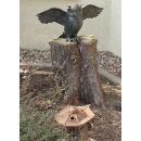 Uhu, Flügel offen, original Rottenecker Objekt