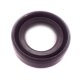 OIL SEAL / Parsun Ersatzteil