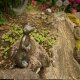 Gartendeko: Bronzefigur Erdmännchen groß wsp., Wasserspeier / Brunnen