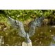 Gartendeko Figur: Bronzefigur Garten,  Seeadler freistehend