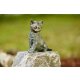 Gartendeko Figur: Bronzefigur Garten, junge Katze sitzend auf Rosario, original Rottenecker Objekt