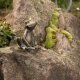 Gartendeko: Bronzefikgur Froschkönig, klein sitzend, Wasserspeier / Brunnen, ohne Stein (Stein optional lieferbar)