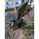 Gartendeko: Bronzefigur Drachenvogel Terrador klein, Wasserspeier/Brunnen, 20 cm hoch