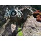 Gartendeko: Bronzefigur Drachenvogel Terrador klein, Wasserspeier/Brunnen, auf Granit, 45 cm hoch